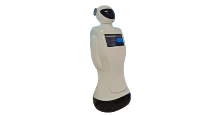 ZW010